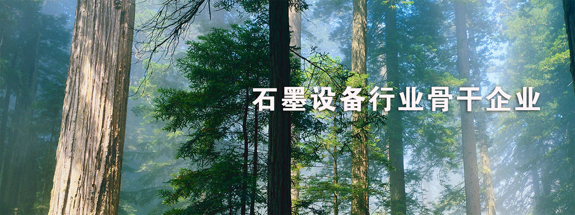 泰安泰山力源機(jī)械科技有限公司