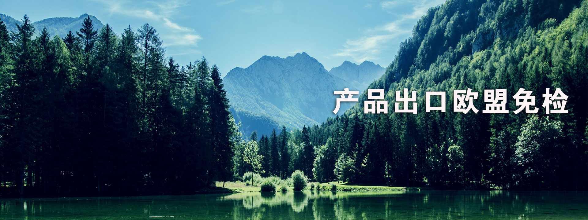 泰安泰山力源機(jī)械科技有限公司